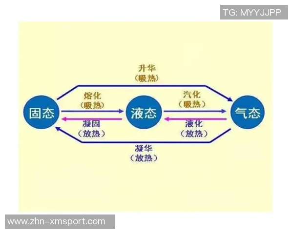 足球教练员D级考试试题解析与备考指南助你顺利通过考试
