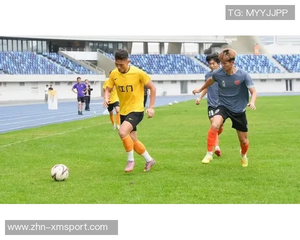 足球骑士兄弟情深携手共进征战绿茵场的荣耀与梦想